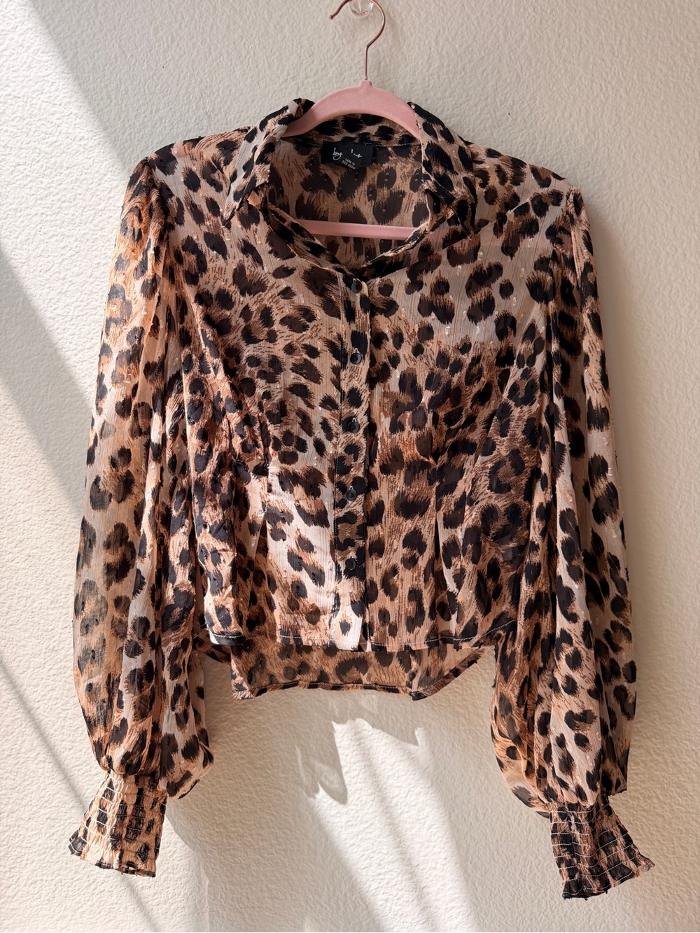Leopard Print Sheer Button-Front Blouse - Brown